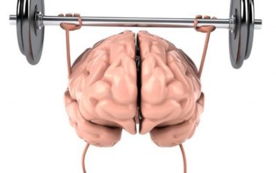 TRAIN the BRAIN!